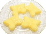 Fondant Papillon Exotique