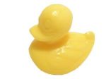 petit savon canard